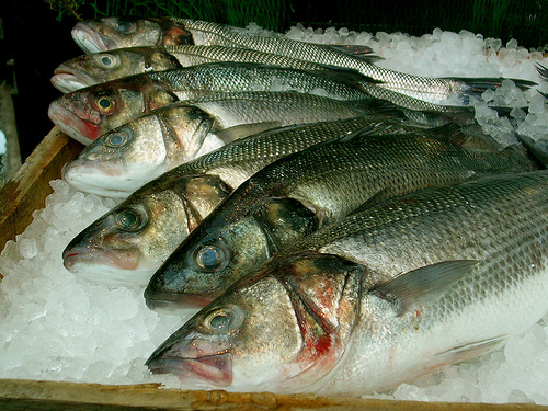 Agricultura orienta compra de pescados antes da Páscoa