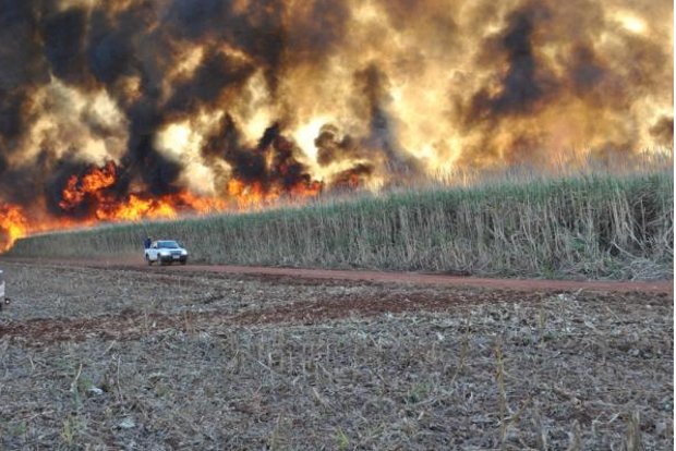 Incêndio consome plantação de cana em fazenda de MS