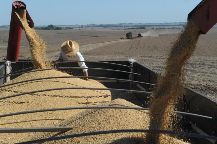 Colheita de soja em Mato Grosso atinge 51,6% da área, aponta Imea