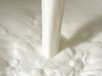 1º de junho: Dia mundial do leite