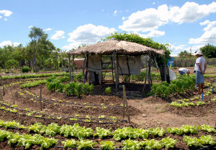 Governo faz acordo com FAO para investir R$ 3 mi na agricultura familiar da América Latina
