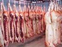Perdas na safra de grãos afetam produção de carnes no Brasil