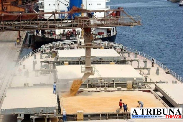 Embarque de soja cai 40% em Santos e Paranaguá