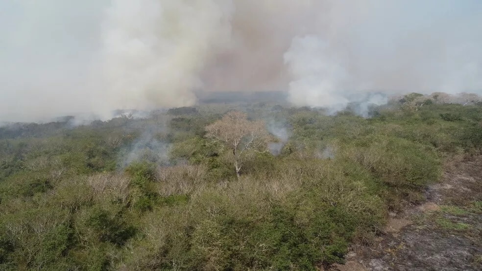 As multas pelos incêndios no Pantanal
